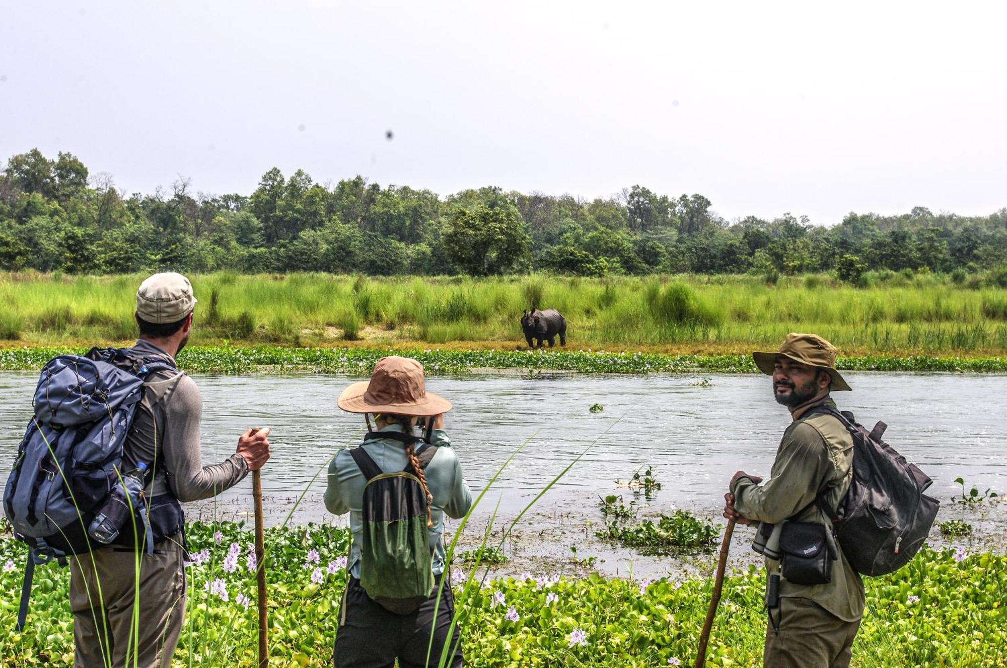 Hotel Flycatcher Chitwan- A Jungle Safari Home سوراها المظهر الخارجي الصورة